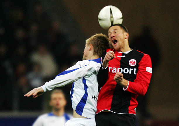 入新的活力 入新的活力